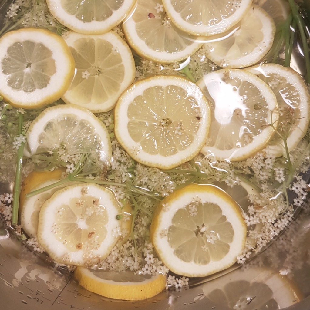 Elderflower Lemonade Lemon